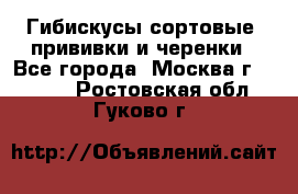 Гибискусы сортовые, прививки и черенки - Все города, Москва г.  »    . Ростовская обл.,Гуково г.